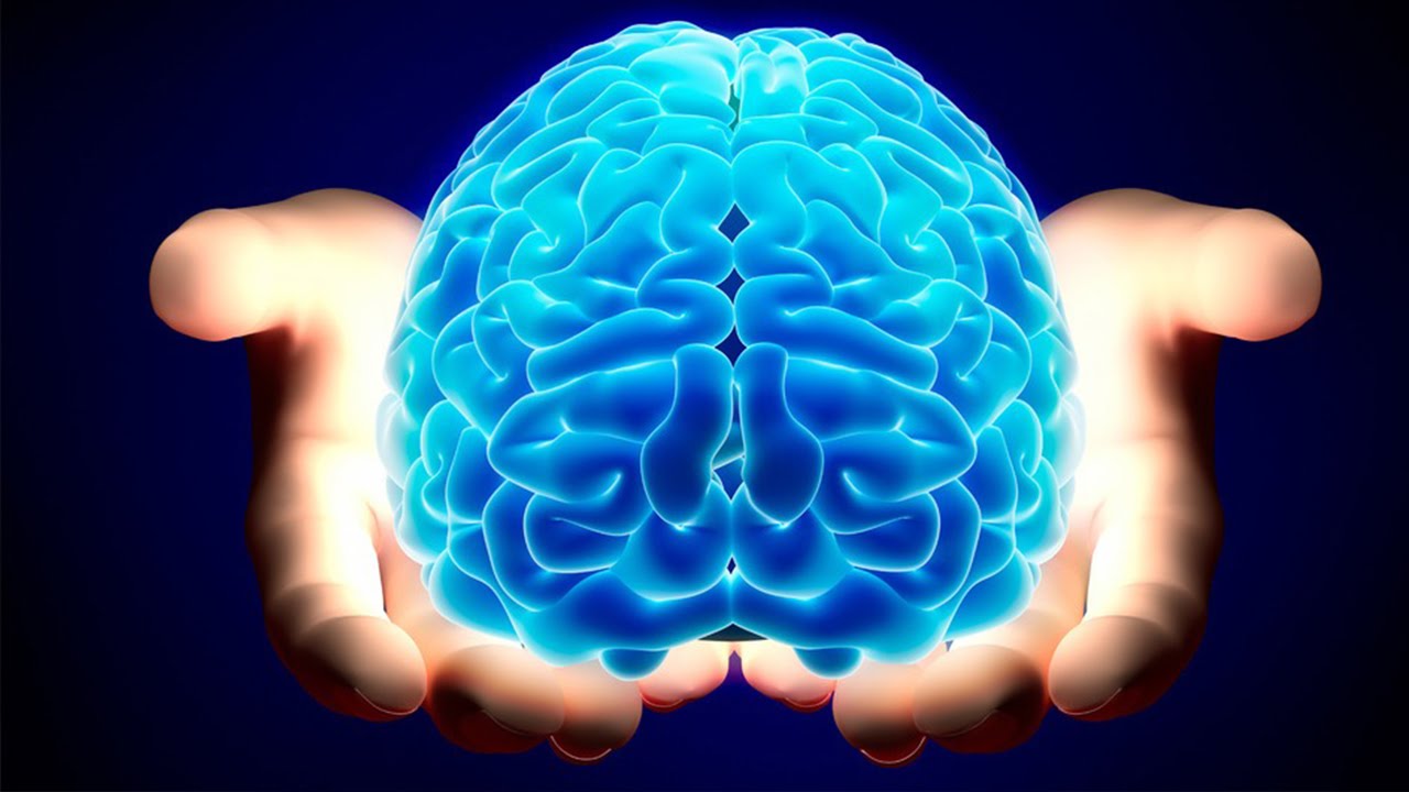 13 amazing facts about human brain.