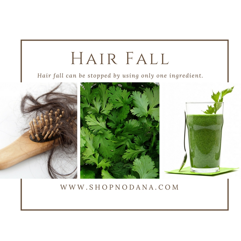how-to-stop-hair-loss-hair-fall-can-be-stopped-by-using-only-one