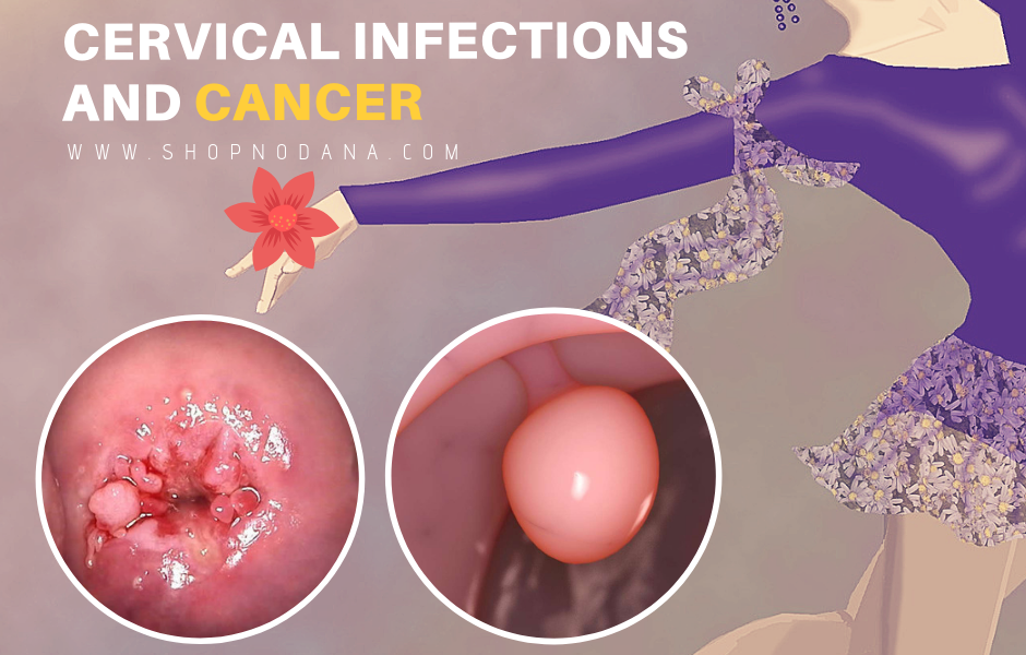what is cervix and functions