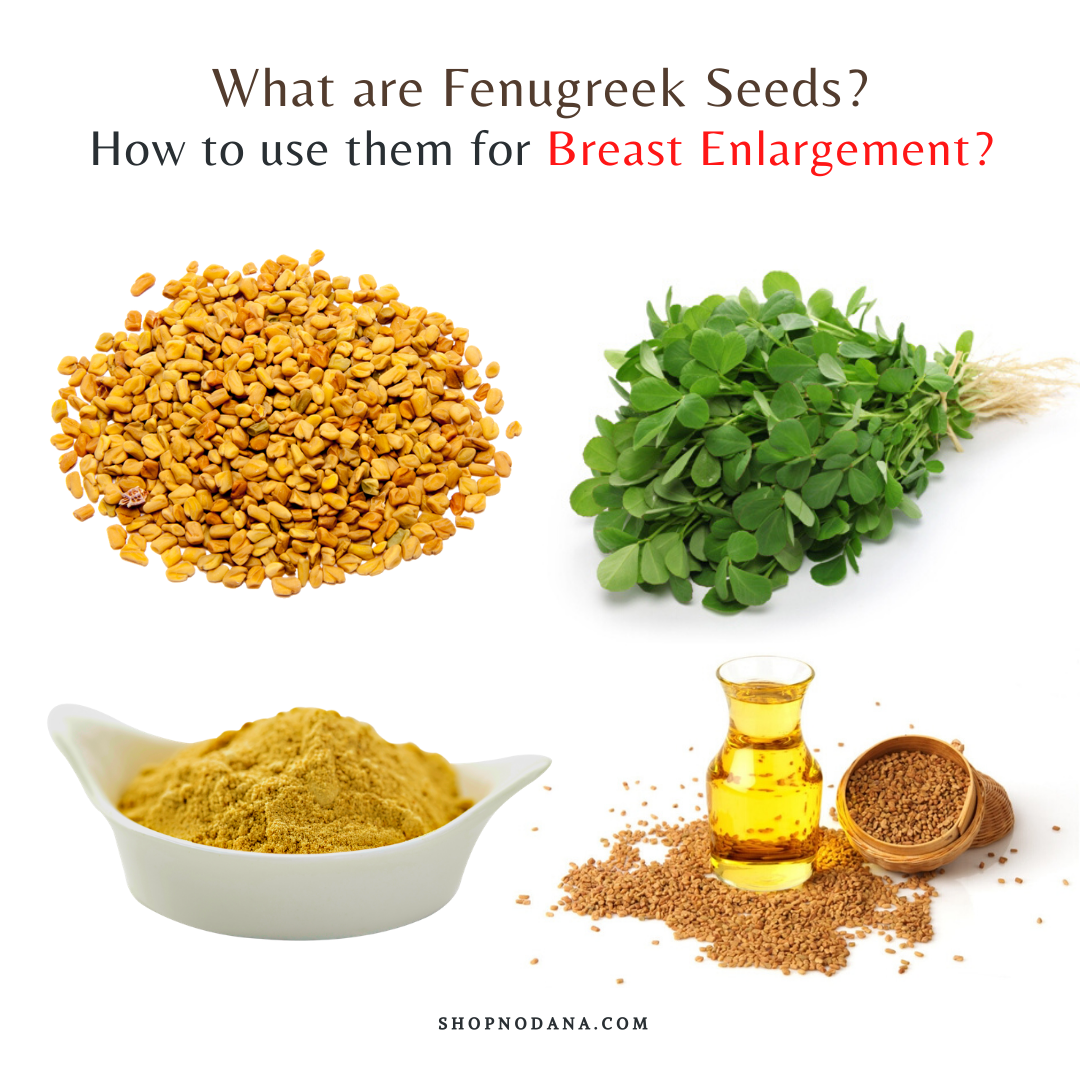 Fenugreek For Breast Enlargement- How To Use Fenugreek Seeds 
