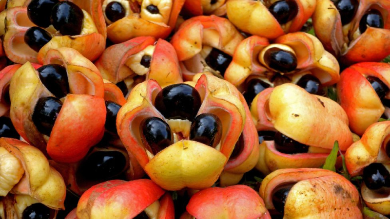 Poisonous-foods-Ackee