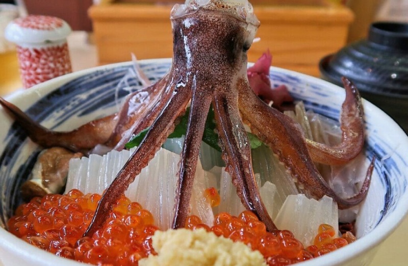 Snackji (live octopus)