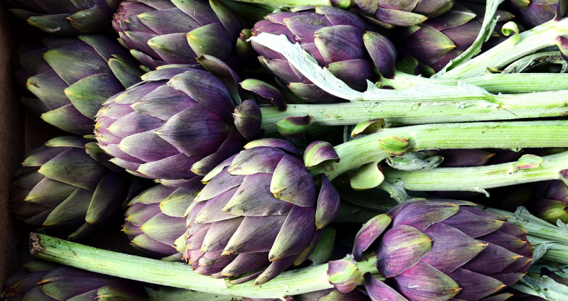 Fat-burning-foods-Artichokes