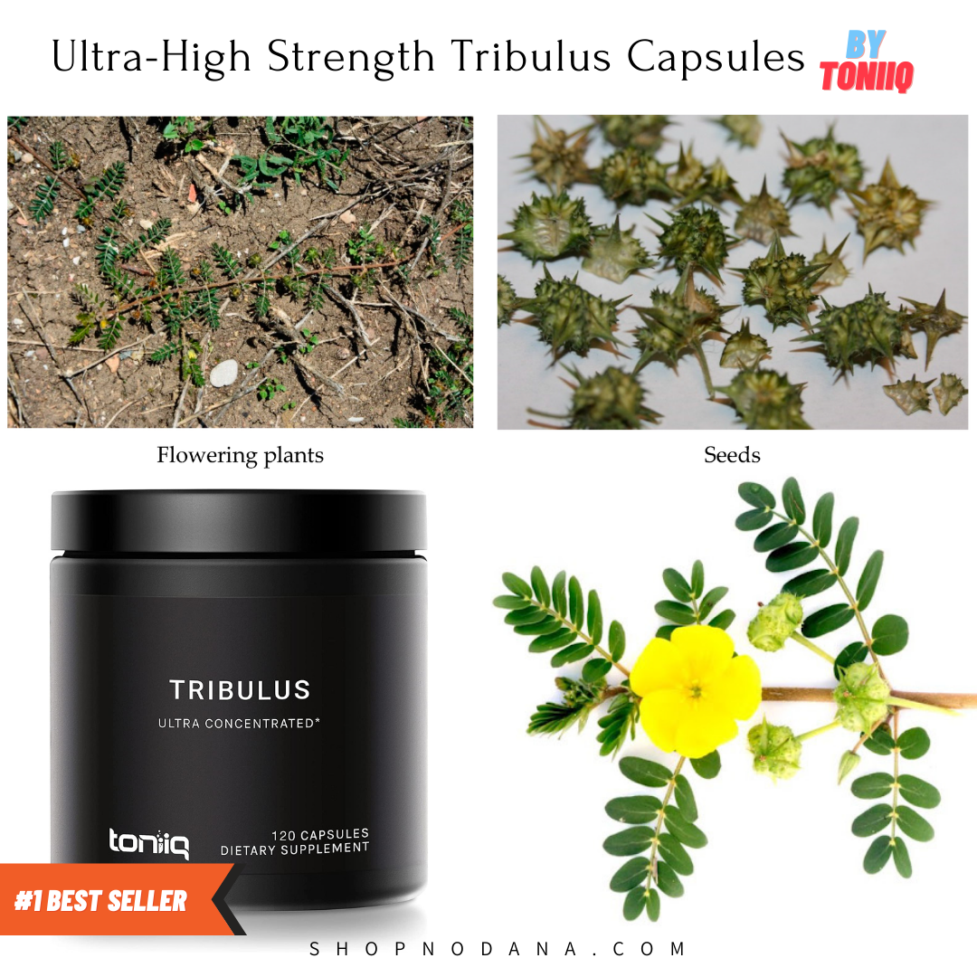 Ultra-High Strength Tribulus Capsules-How To Cure PCOS Permanently At Home