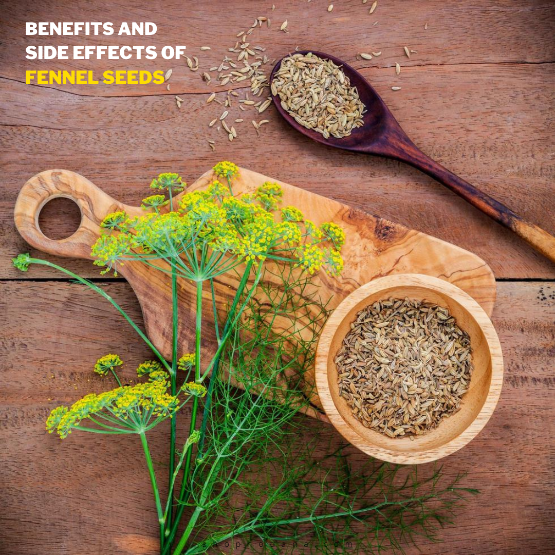Benefits And Side effects of Fennel seeds