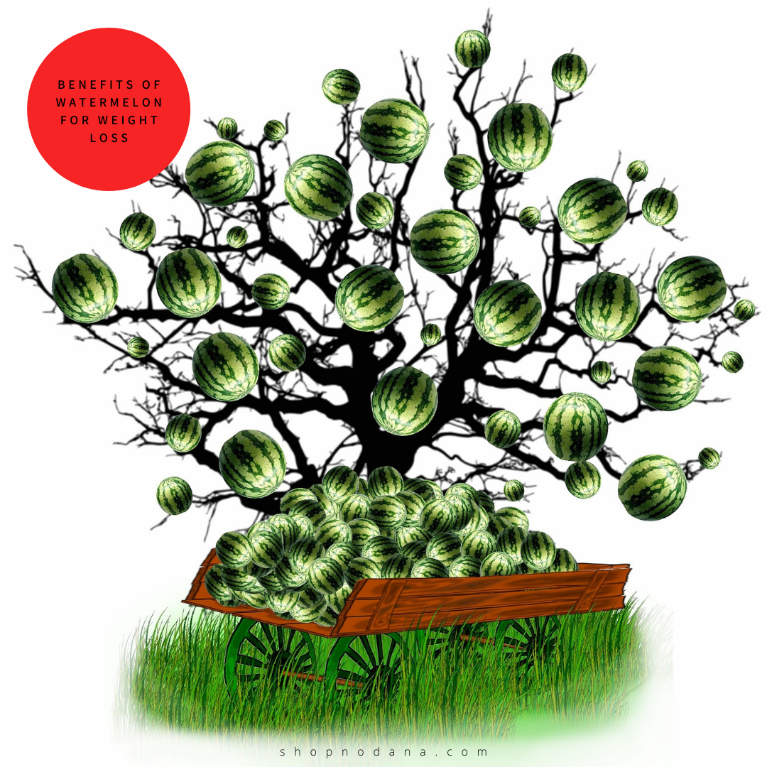 Benefits Of Watermelon For Weight Loss Shopno Dana