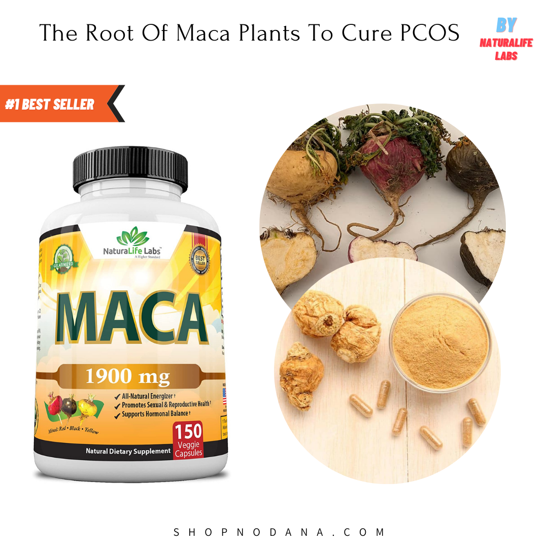 The Root Of Maca Plants To Cure PCOS