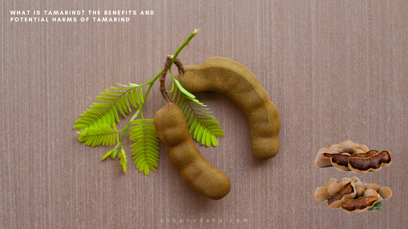 What is Tamarind? The Benefits and Potential Harms of Tamarind