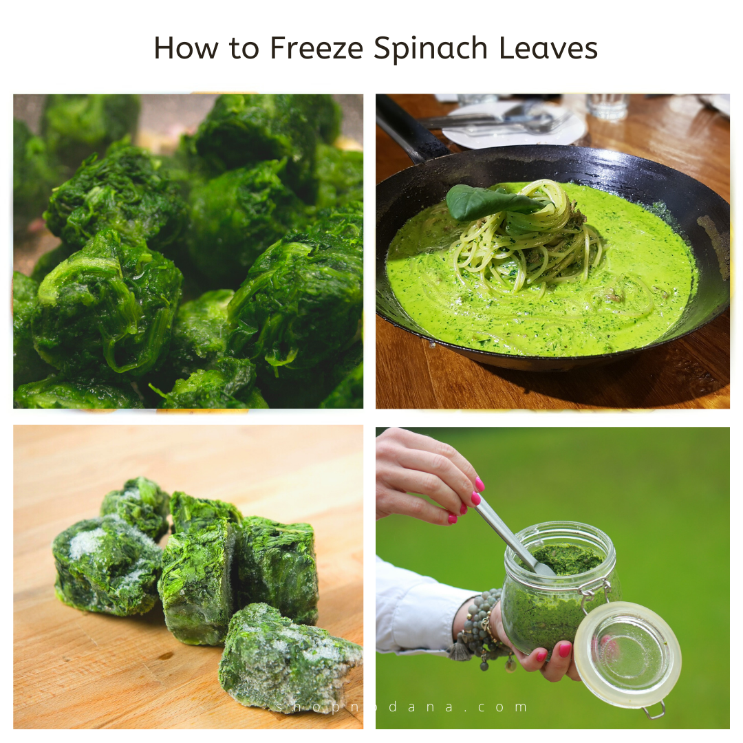 How to Freeze Spinach Leaves