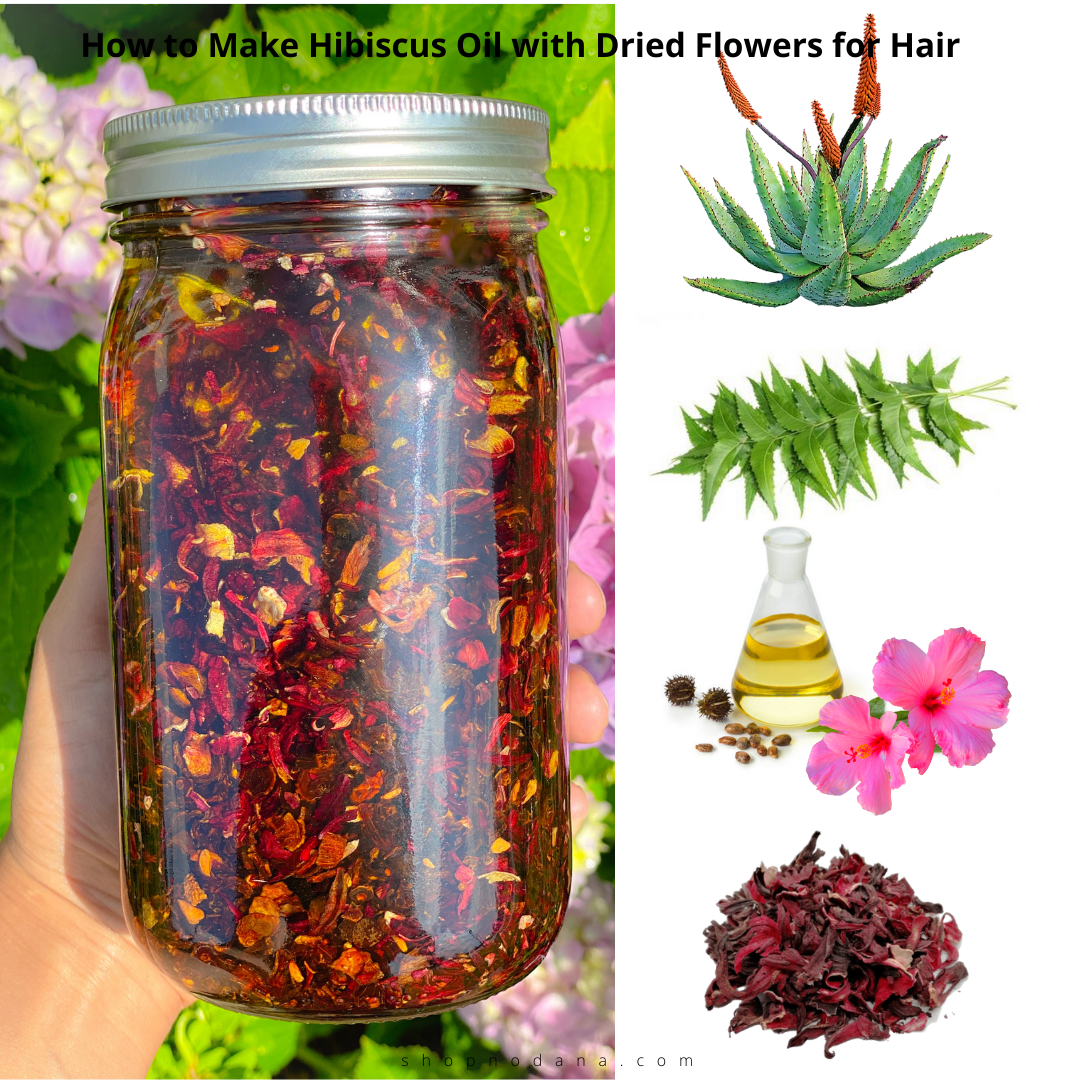 How To Make Hibiscus Oil With Dried Flowers For Hair Shopno Dana how-to-make-hibiscus-oil-with-dried-flowers-for-hair-shopno-dana