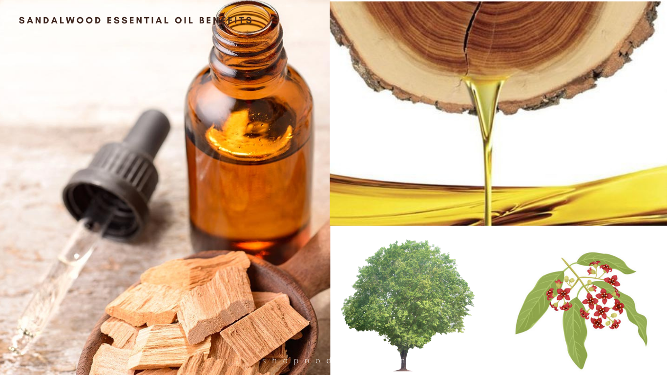 Sandalwood Essential Oil Benefits