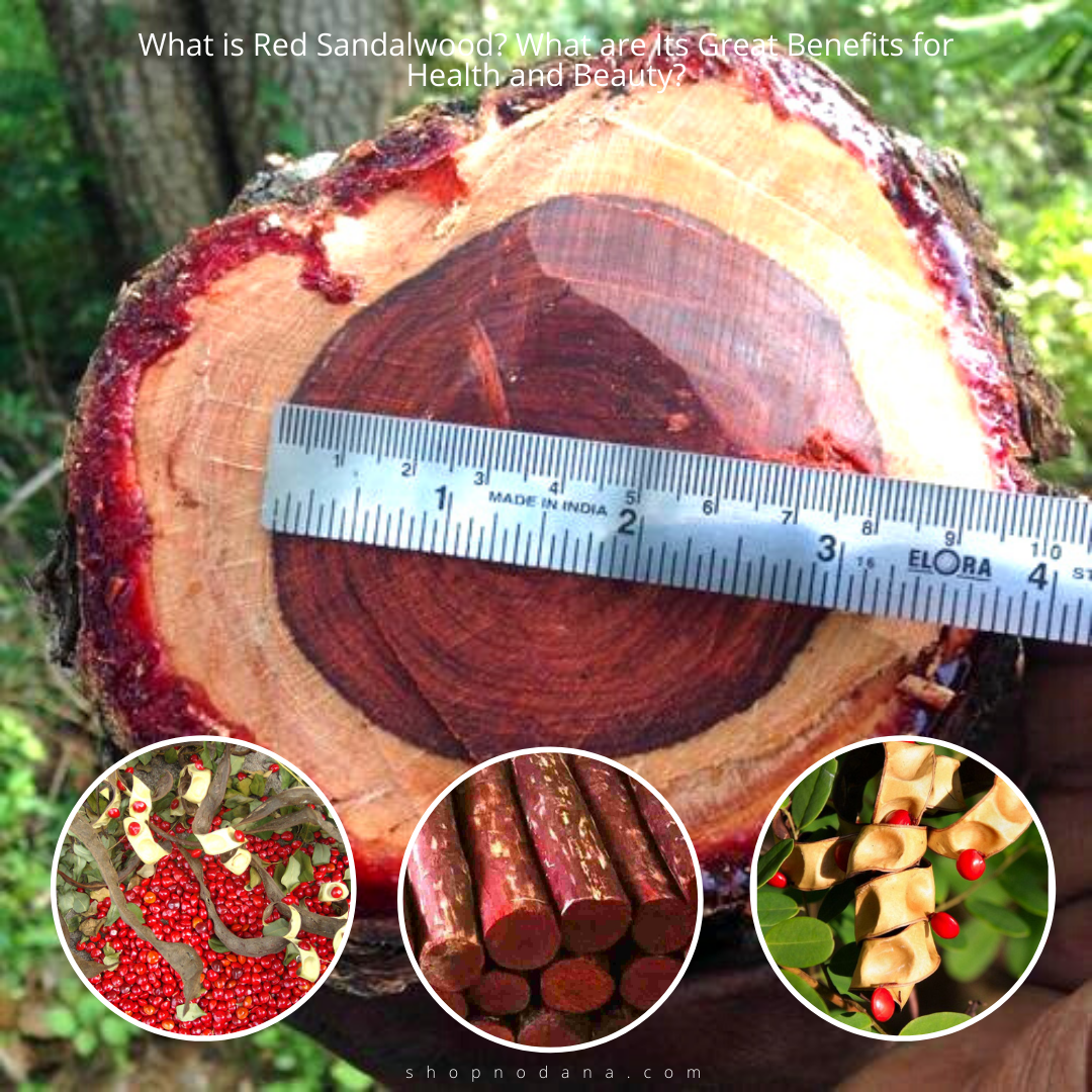 What is Red Sandalwood? What are Its Great Benefits for Health and