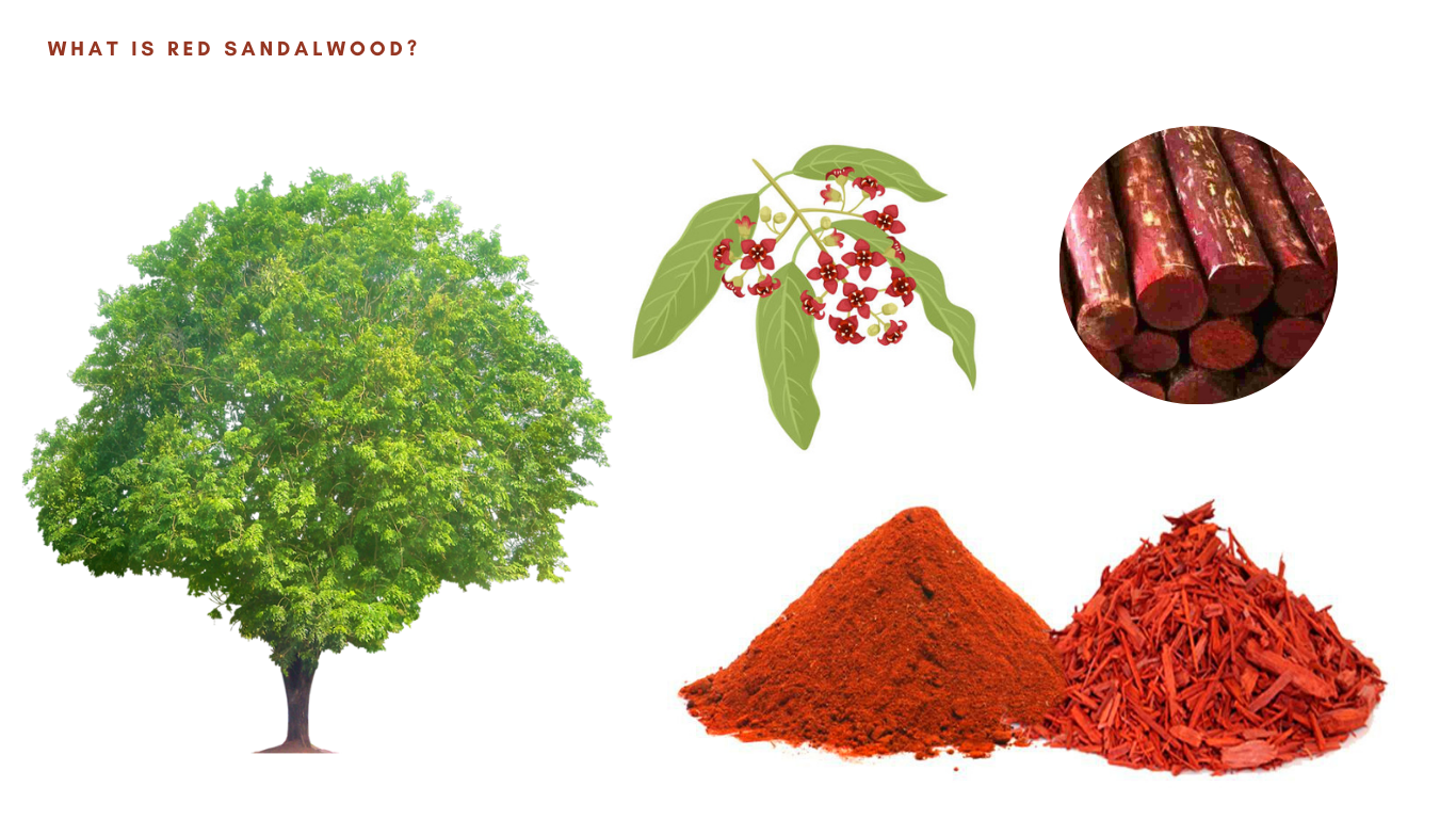 Red sandalwood powder