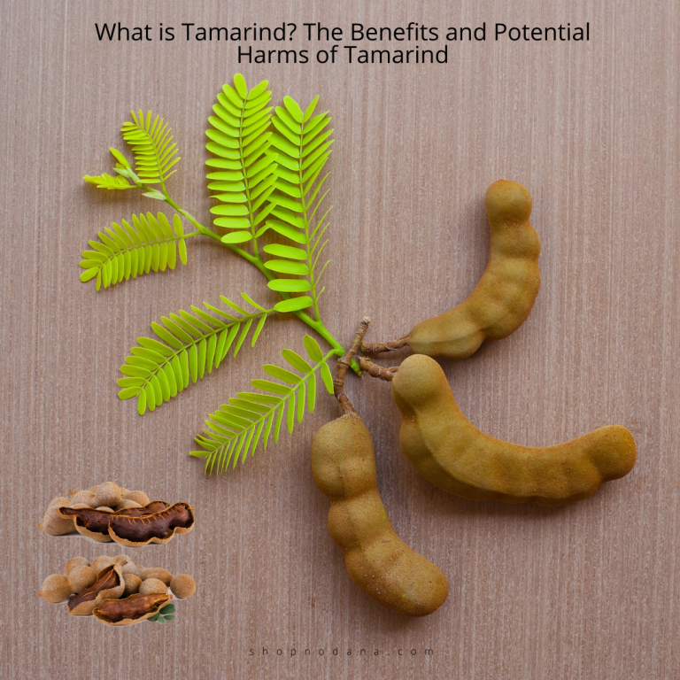 What is Tamarind? The Benefits and Potential Harms of Tamarind