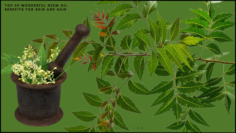  Neem Oil Benefits for Skin and Hair