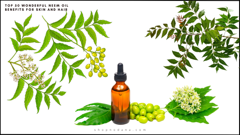 Neem-Oil-Benefits-for-Skin-and-Hair