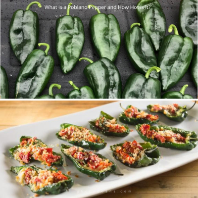 What-is-a-Poblano-Pepper-and-How-Hot-is-it